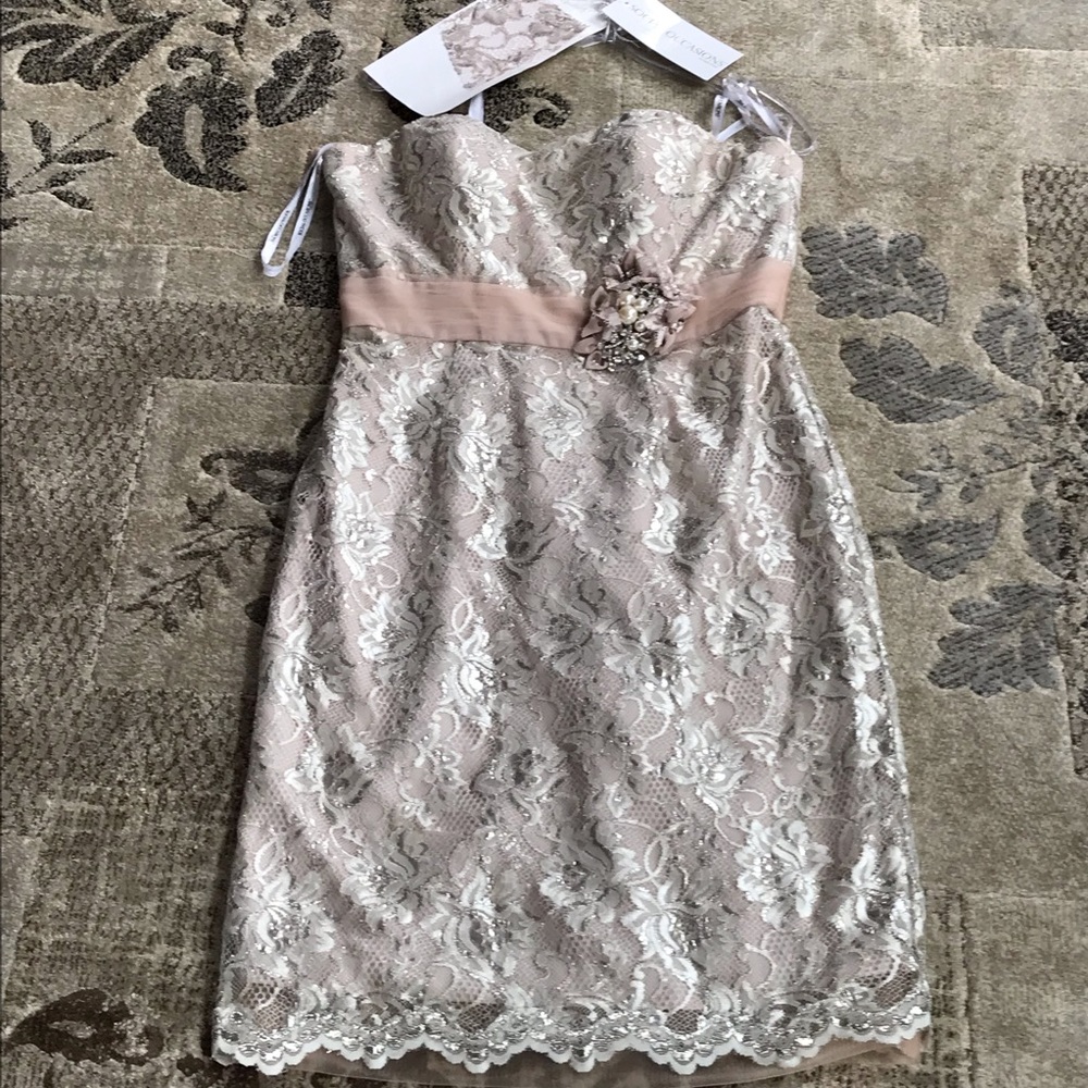 Ladies mother of the bride dress